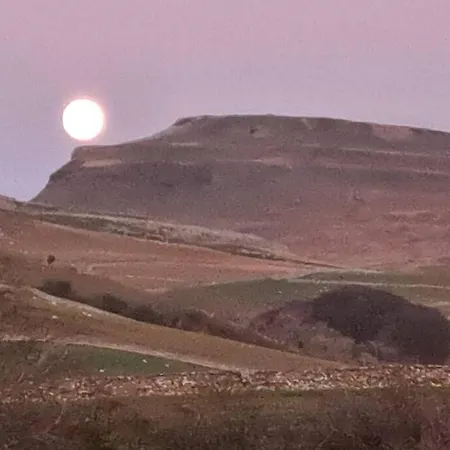 Robins Nest Apartment